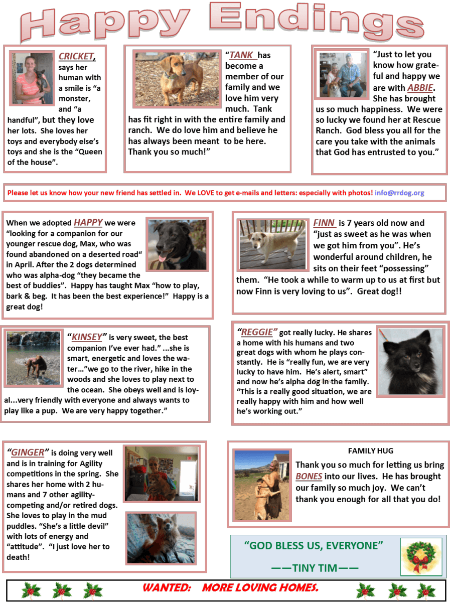 page5