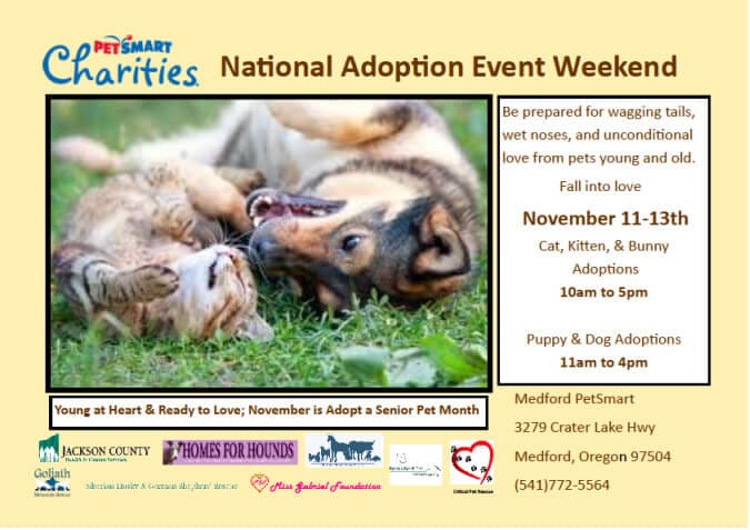 national-pet-adoption-weekend