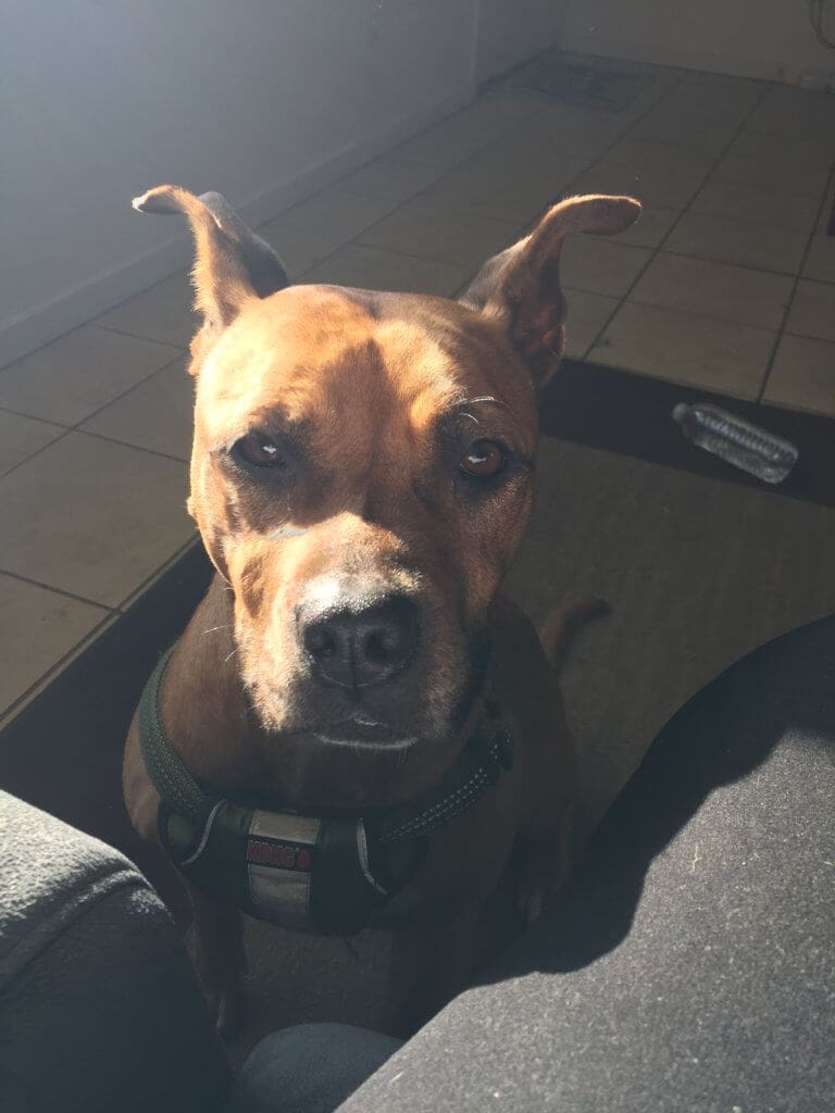 CC87A277-55EC-47BB-AB24-CAA59B1F340F