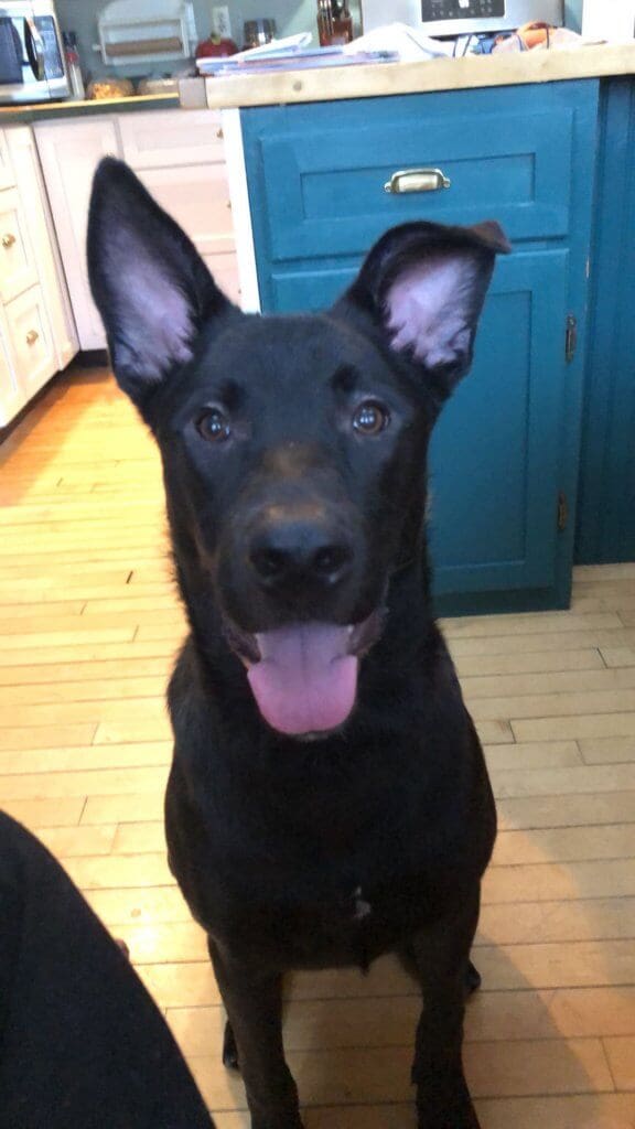 64154082-DD08-4CF0-B807-E0951E1AB5B5