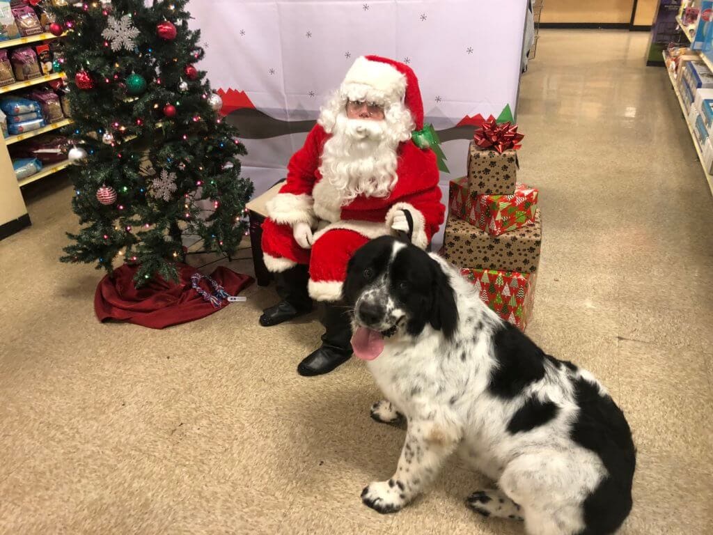 With Santa