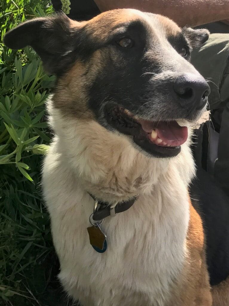 softest fur, softest heart