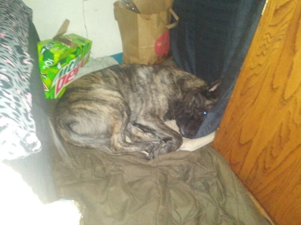 sleeping