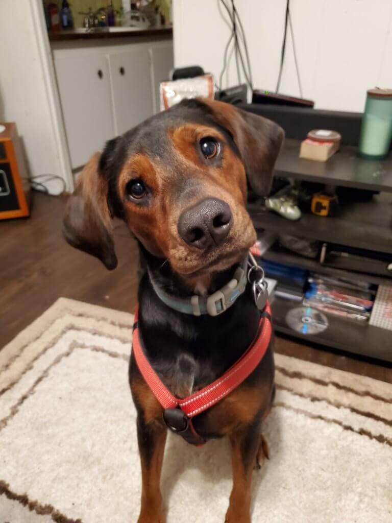 Are you talking to me?