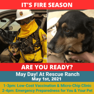 May Day at Rescue Ranch