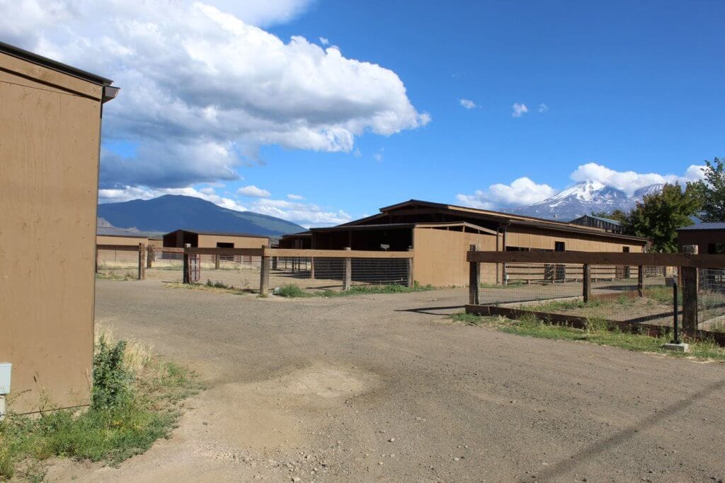 The New Rescue Ranch Sanctuary Will Help At-Risk and Special Needs Dogs ...