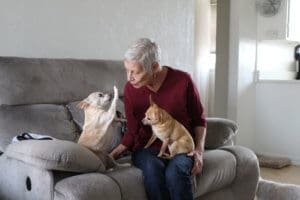 Foster senior and special needs rescue dogs