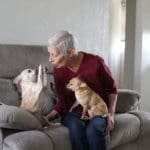 Foster senior and special needs rescue dogs