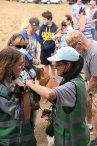 Responsible Dog Ownership: dog getting shot at Vaccination clinic
