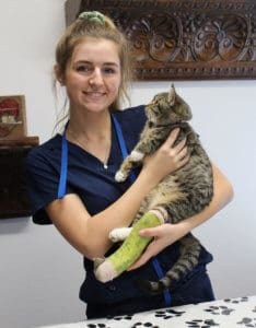 Vet Techs Who Help Treat And Save Rescue Ranch Dogs