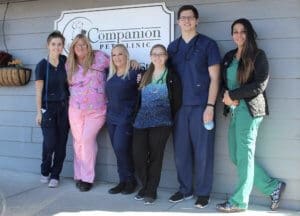 Vet Techs Who Help Treat And Save Rescue Ranch Dogs