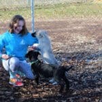 Rescue Ranch puppypalooza