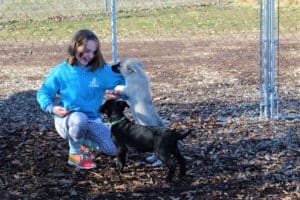 Rescue Ranch puppypalooza