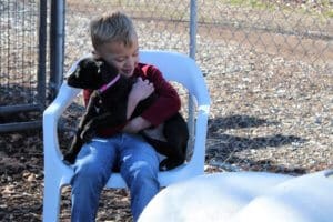 Rescue Ranch puppypalooza