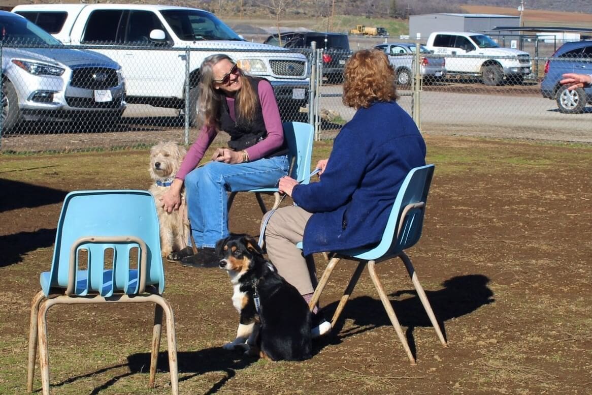 Did You Know Rescue Ranch Offers Free Dog Socialization Classes?