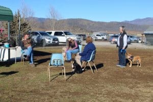 Rescue Ranch free weekly socialization classes