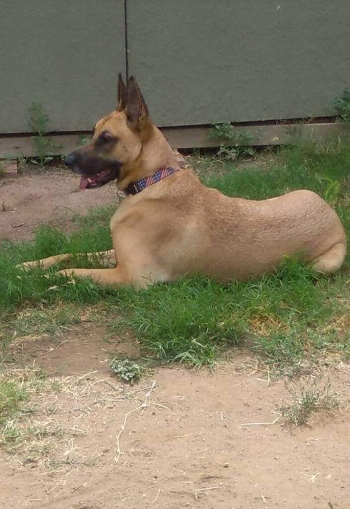 Screenshot_20220215-113442_Facebook