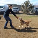 Spending quality time with Rescue Ranch senior dog