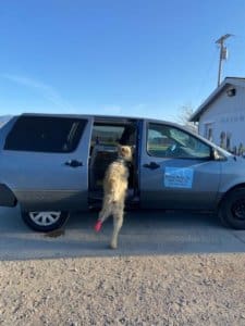 Atlas, Rescue Ranch Kitu's Fund dog