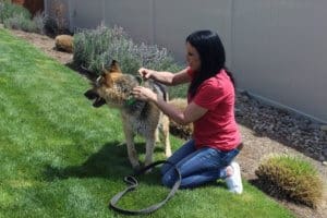 Special needs German shepherd and foster mom