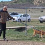 Senior Rescue Ranch dog spends quality time with volunteer