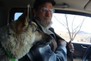 Special needs German Shepherd in the car