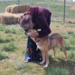 Senior Rescue Ranch dog spends quality time with volunteer