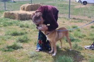 Senior Rescue Ranch dog spends quality time with volunteer