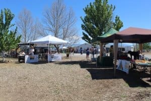 Dog Days for Summer Rescue Ranch Event Tables