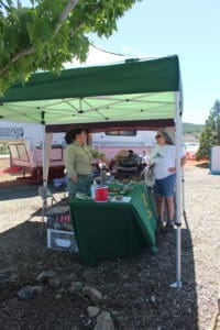 Tacos Tao at Dog Days for Summer Rescue Ranch Event