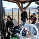 Puppies at Past Rescue Ranch Adoption Event