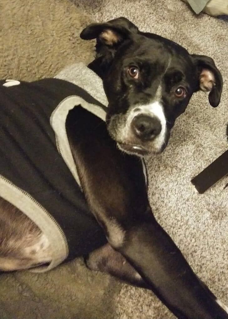 212E115D-3D79-4C3F-BE36-D1827B1B9053