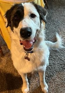Ares-such-a-pretty-boy-6.25.22