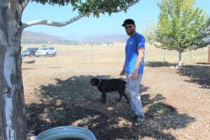 Rescue Ranch staff during McKinney Fire