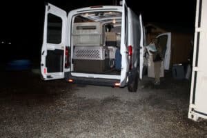 Responsible Dog Ownership: dogs loaded into van for spay/neuter appointment