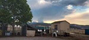 McKinney Fire Day 1 smoke from Rescue RAnch