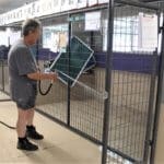 Rescue Ranch staff Cleaning kennels McKinney Fire