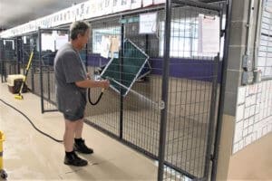 Rescue Ranch staff Cleaning kennels McKinney Fire