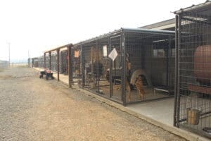 Rescue Ranch Evacuation Center during the McKinney Fire
