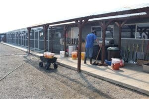 Rescue Ranch staff Cleaning kennels McKinney Fire