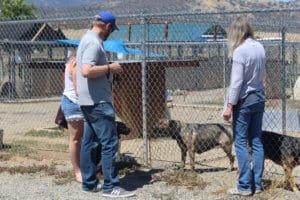 Tyler and MOnica and Iris visiting with Iris mom Persephone
