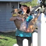 Responsible Dog Ownership: Vet tech with post op spay/neuter dog