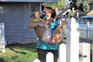 Responsible Dog Ownership: Vet tech with post op spay/neuter dog