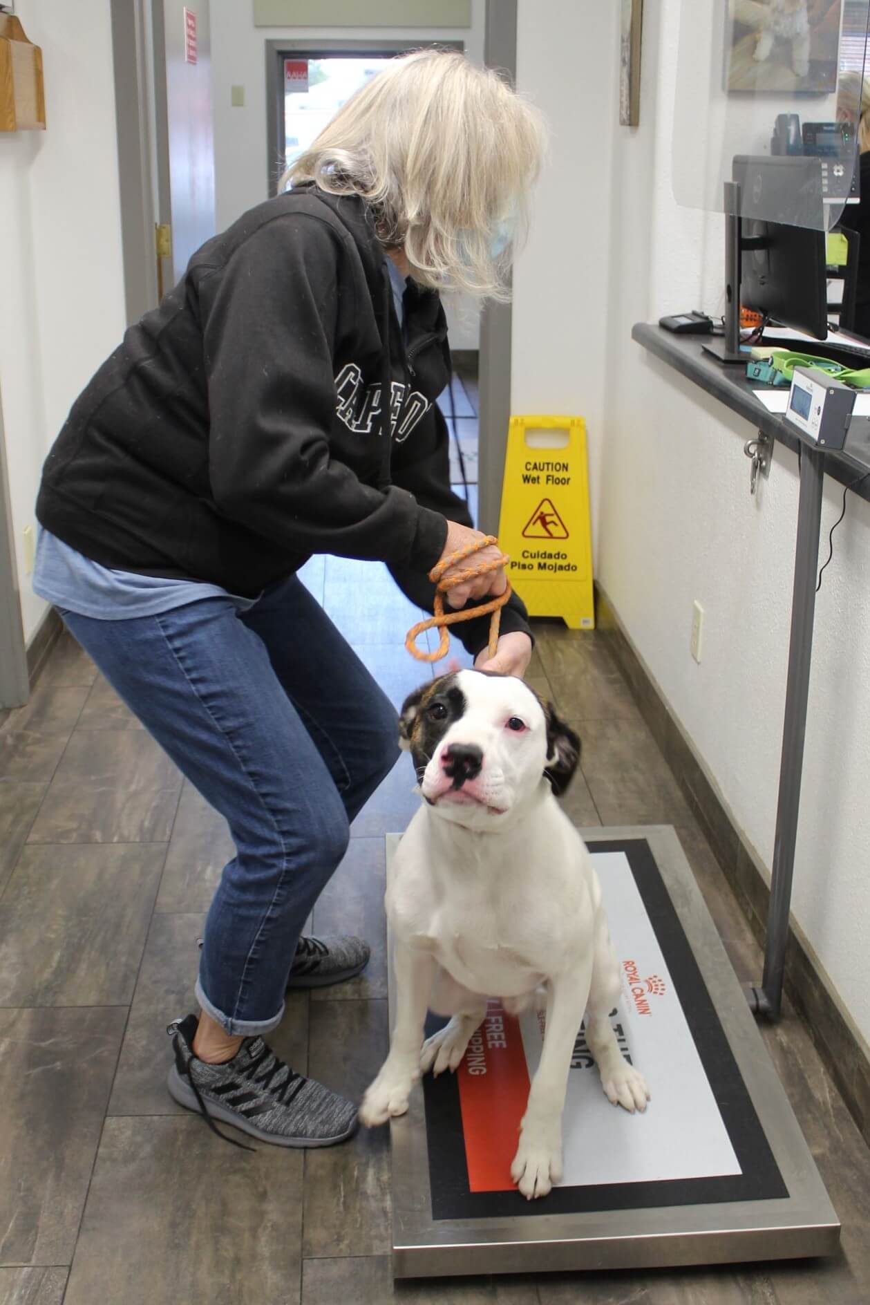 Weighing Pre Op RRAAP Dog 1 - Rescue Ranch Inc. 