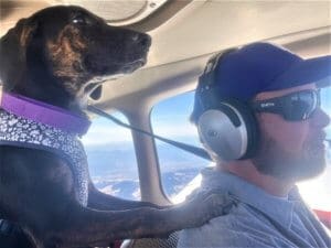 Rescue puppy Iris flying home with new daddy Tyler