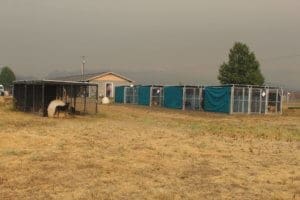 Rescue Ranch Evacuation Center during the McKinney Fire