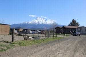 Rescue Ranch Sanctuary with Mt Shasta in the background