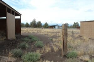 Rescue Ranch Sanctuary, unused paddock