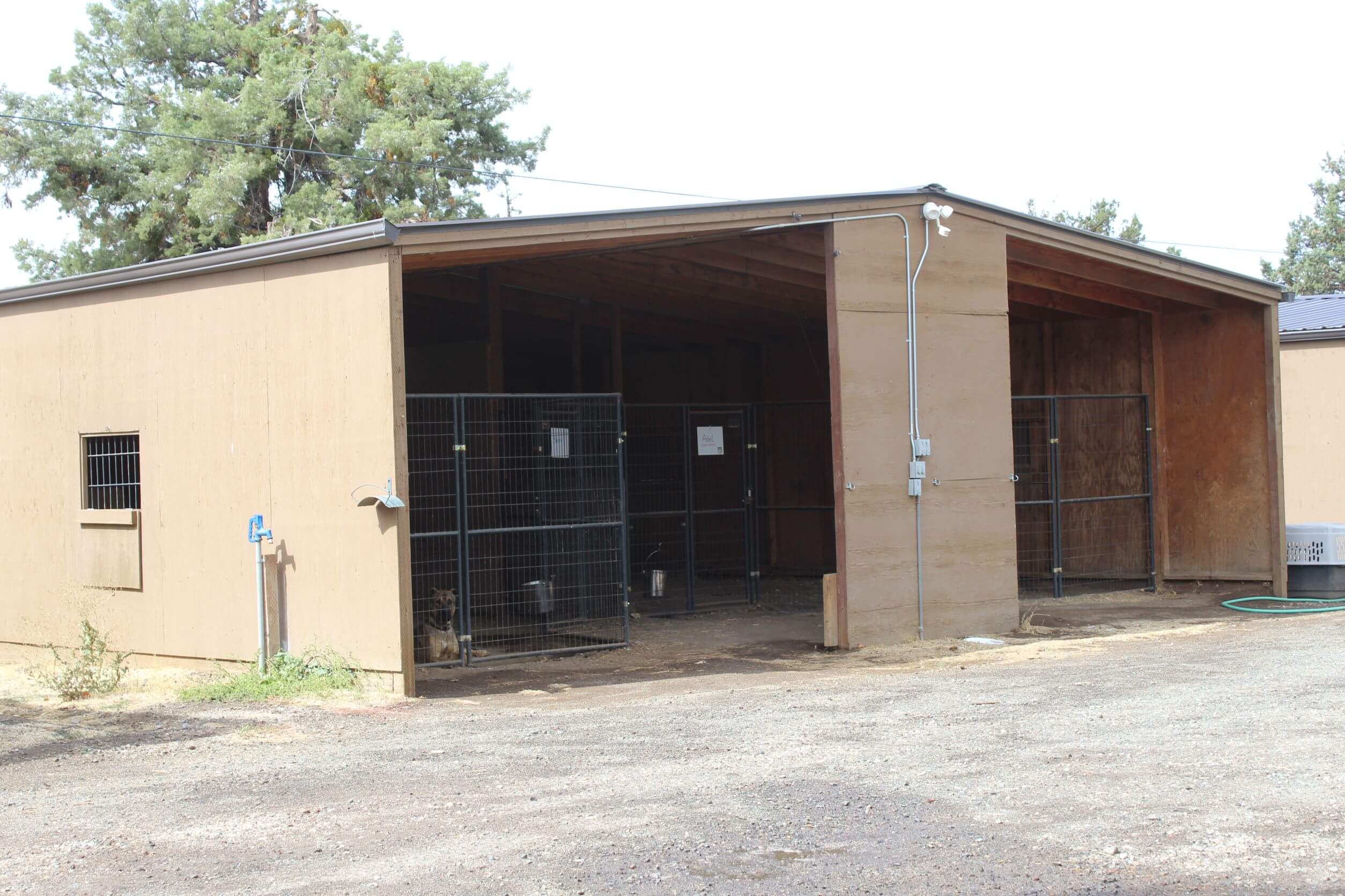 Sanctuary_Initial kennels inside horse sheds Rescue Ranch Inc.