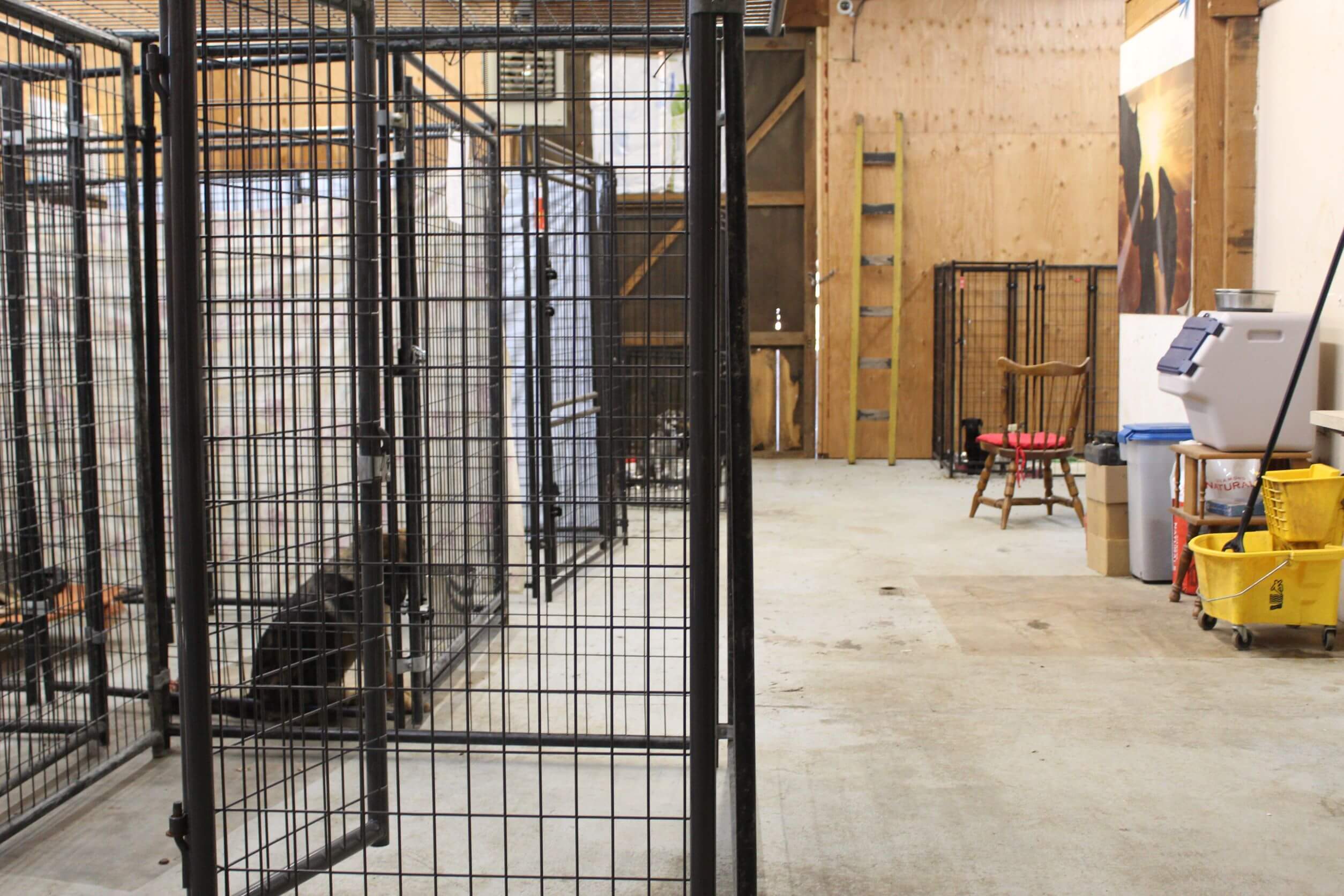 Sanctuary_Kennels indoor medical building Rescue Ranch Inc.